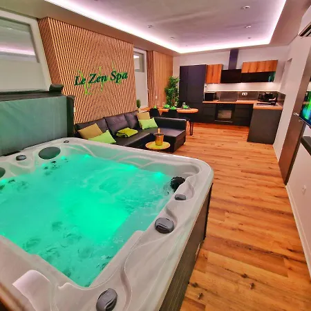 Zen Spa-4 Pers-Jacuzzi-Parking-Clim-Colmar Esterno foto